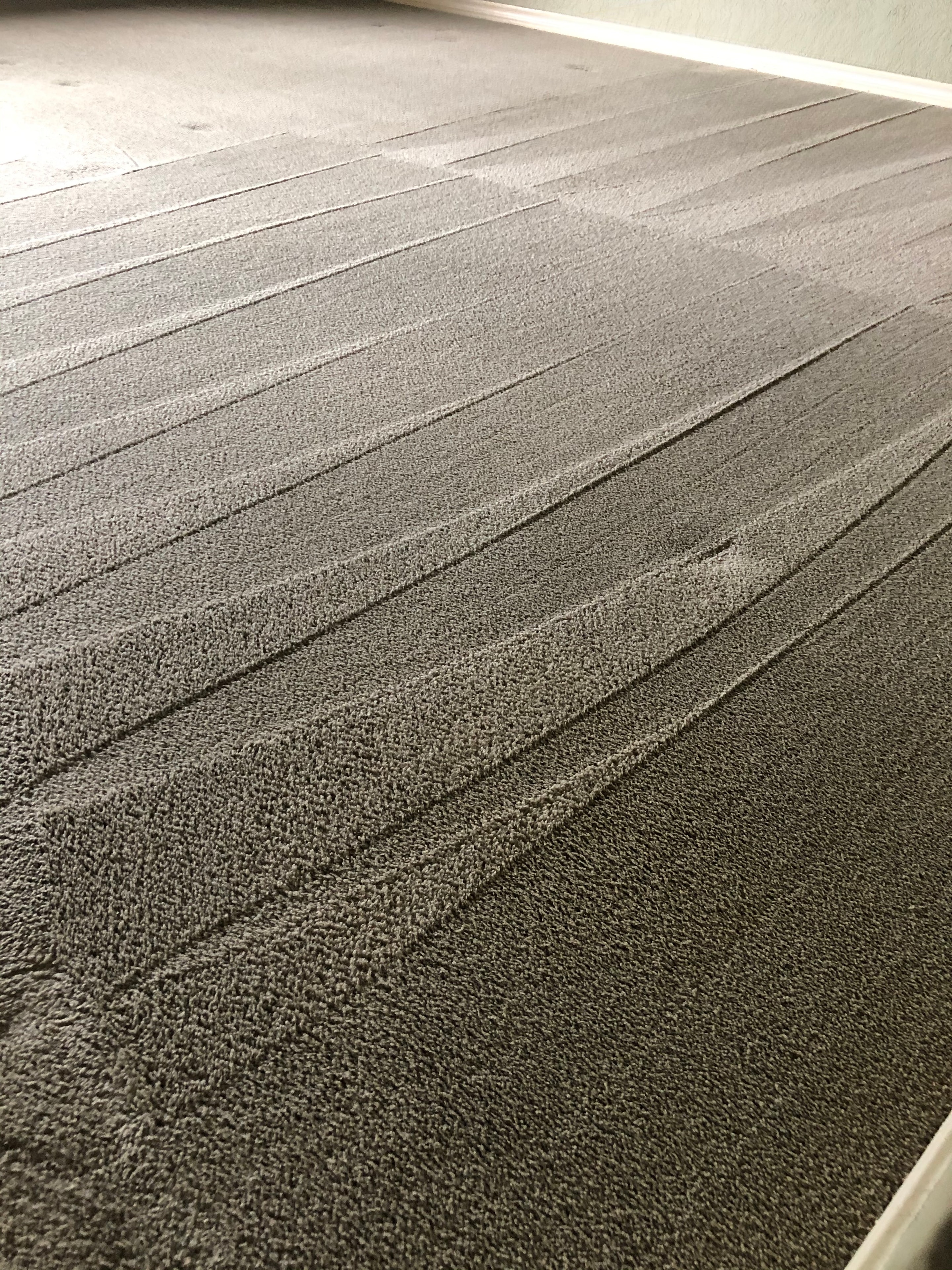Carpet Cleaning